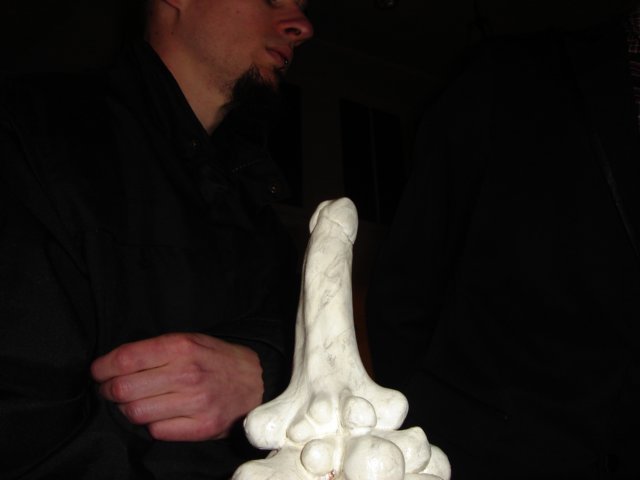 sculpturehanzfelini.jpg